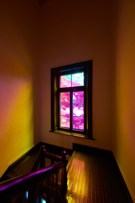 박여주, <트와일라잇 존>, 2015~, 창에 다이크로익 필름, 가변크기