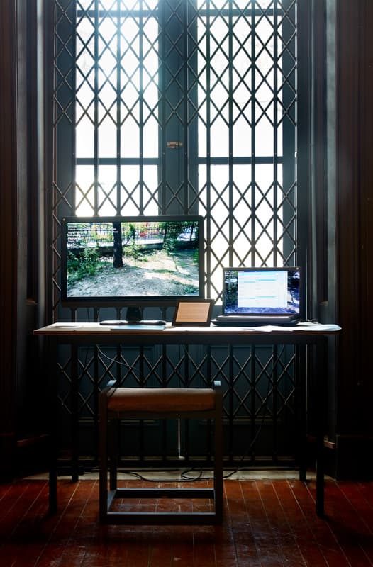 이소요, <회양목>, 2018, 혼합재료, 가변크기